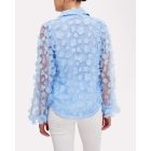Floral Pattern Sheer Mesh Lantern Sleeve Top