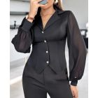 Notched Collar Sheer Mesh Patch Buttoned Blouse Top