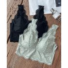 2-Pack Lace Scallop Trim Lace Bralette V-Neck Camisoles